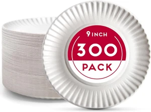9-Inch Disposable Paper Plates - 300 Count - Bulk Pack of Uncoated Paper Plates - Picture 1 of 7