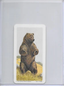 1970 Grizzly Bear National Wildlife In Danger Federation Card #31 Series 13 - Picture 1 of 2