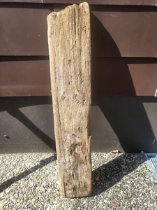 Treibholz Wurzel Ast Brett Terrarium Deko wohnen basteln Lampe - Bild 1 von 5