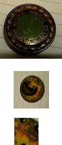 Western National 25 years service badge - Picture 1 of 1