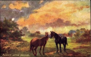TUCK No.9620; Artist Postcard Harry Payne, SUNSET after SHOWER, Horses, Uplands - Picture 1 of 2