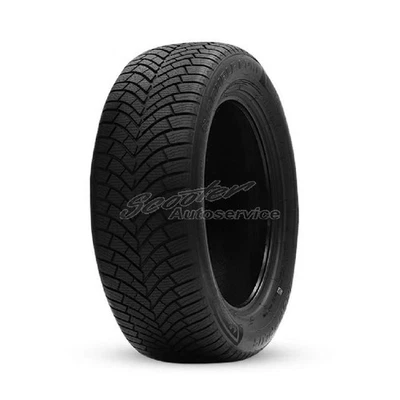 Allwetter-Reifen Double Coin 215/65R16 102V DASP Plus 3PMSF XL | 19130 - Bild 1 von 4