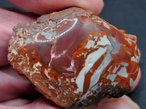 Gelbe Katze versteinertes Holz - poliert - 2 Unzen * Deep Maroon  - Bild 1 von 8