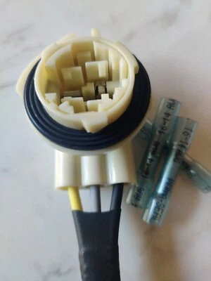 Freightliner Classic. Luz de circulación diurna, intermitente, luz marcadora. Foto 1 de 4