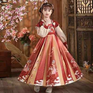 Girl Traditional Hanfu Dress Chinese Embroidered Princess Long Dress Tang Suit - Picture 1 of 9