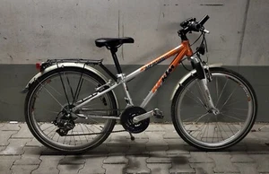 KTM WILD ONE 20 (21 Gänge), Silber/Orange für Kinder bis 10 Jahre | TOP ZUSTAND - Bild 1 von 7