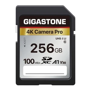 Carte SD GIGASTONE 256Go Carte Mémoire A1 V30 U3 Classe 10 SDXC Haute Vitesse 4K 501 - Photo 1 sur 9