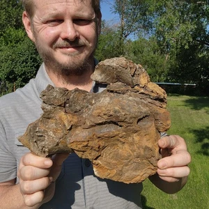 Mandíbula Triceratops - Auténtico fósil de dinosaurio cretácico de la formación Hell Creek - Imagen 1 de 11