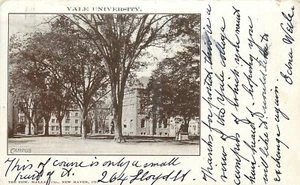 Postal postal privada de la Universidad de Yale de New Haven Connecticut 1908 25-205 - Imagen 1 de 2