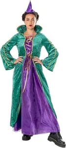 Forum Adult Enchanted Sister Witch Green Purple Dress Halloween Costume SMALL - Picture 1 of 1
