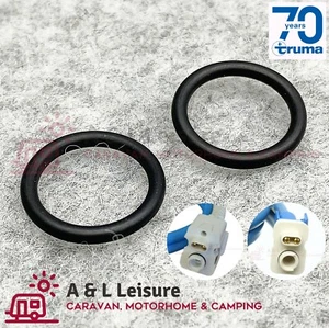 Watermaster Whale Carver Truma Crystal MK2 Water Pump Inlet seals O'Rings AK3050 - Picture 1 of 10