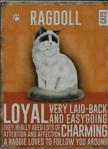 PLAQUE METAL vintage chat RAGDOLL - 40 x 30 cm  - Picture 1 of 1