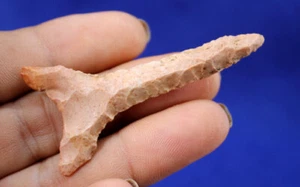 Dalton Drill COA Authentic Prehistoric Arrowhead Artifact Native Indian - Picture 1 of 7