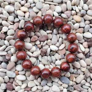 Precioso brazalete Akar Laka 14 mm Dalbergia Parviflora 16 cuentas Kayu Menang #39 - Imagen 1 de 4
