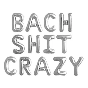 Silver BACH SHIT CRAZY Foil Balloon Banner Naughty Fun Hen Party Decorations - Foto 1 di 2