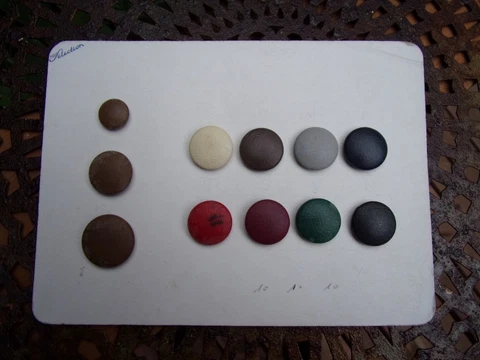 old sample card of 11 antique Paris, France French leather buttons~1900's~sewing Cover