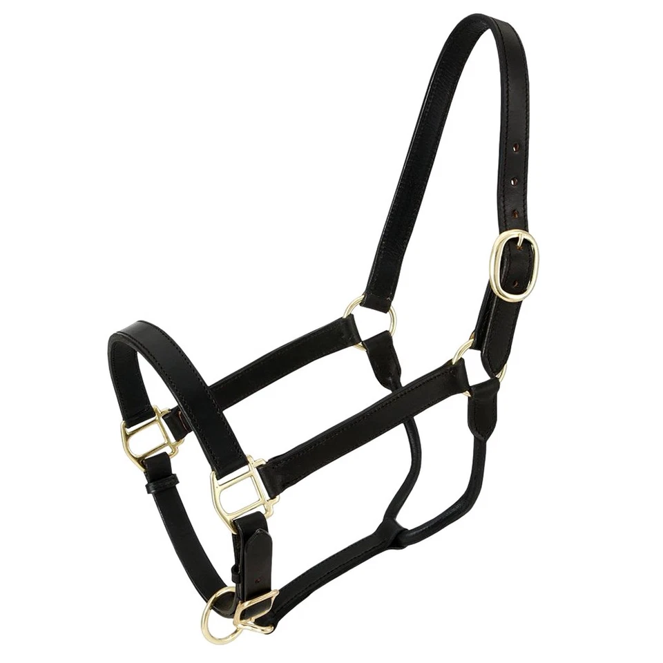 JT Royal King Western Caballo Estable Cuero Genuino Halter y 1 Pulgada de Ancho Negro Foto 1 de 1