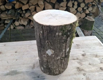 DEKO Baumstamm Holz Klotz ESCHE Natur Höhe 30 cm Durchmesser 20 cm Baumscheibe - Bild 1 von 4