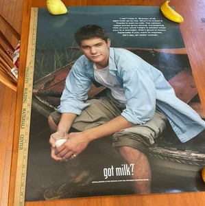 Milch? Joshua Jackson Original Poster 19 x 25. 1998 - Bild 1 von 4