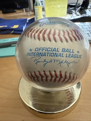 Международная лига бейсбола с Birmingham Barrons Барри Джонсон автограф - Изображение 1 из 4