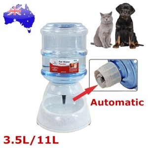 automatic watering system for dogs