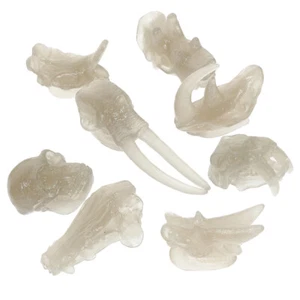 Luminous Animal Skull Model Child Dinosaurs Bone Toy Kids Plaything - Picture 1 of 12