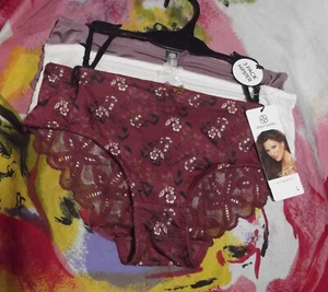 3 DAISY FUENTES DF4742A 2 LACE & MICRO LACE BACK DETAIL HIPSTER PANTIES L - Picture 1 of 2