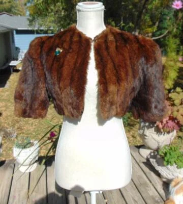 De colección 1930/40s Pico Hombro Piel Encogerse de hombros Gordito Pequeño 34B Foto 1 de 4