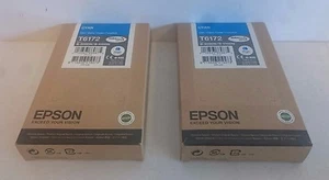 2x EPSON Tintenpatrone T6172 Business Inkjet B-500DN B-510DN NEW - Photo 1/2