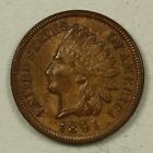 1891 Indian Cent. Nice Brown Uncirculated Coin. 