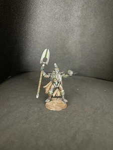 Warhammer 40k Necron Lord Guerriero Hochlord Canoptek Spider Monolite Cacciatore - Foto 1 di 5