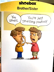 Shoebox Funny Birthday Card for SISTER or BROTHER "You Smell" Hallmark AD10 - Picture 1 of 3