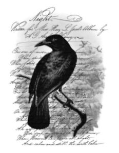 Image vintage oiseau français corbeau corbeau nuit poème meubles transfert autocollants BIR855