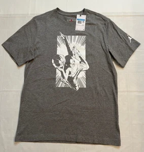 Nike Jordan Brand MJ Dunk Gray Graphic T-Shirt Men's Sz M FB7462-091 - Picture 1 of 4