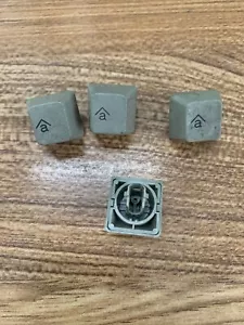 IBM Model M F F122 SSK Keyboard Keycaps Buckling Spring Caps Genuine - Picture 1 of 1