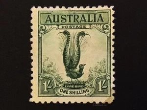 Australian 1932 Lyrebird Stamp 1/ | Pre-Decimal | Large Format | MH - Picture 1 of 4