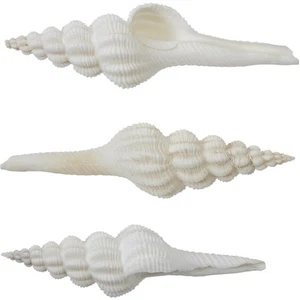 Carcasas de husillo de 6 nudos de 5-6" (juego de 6) carcasas artesanales - Imagen 1 de 1