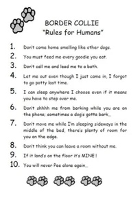 Border Collie "Rules for Humans" - CUSTOM MATTED - Dog Art Print : GIFT - Picture 1 of 2