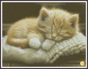 Curled in a ball 1466 Chart Counted Cross Stitch Pattern Needlework - Picture 1 of 4