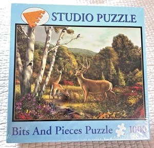 STUDIO PUZZLE 1000 Pc SOMEWHERE IN A FIELD BY ALAN GIANA BITS & PIECES 20"x27" - Picture 1 of 5