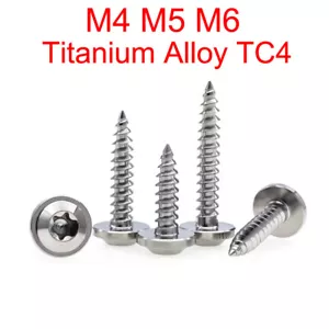 M4 M5 M6 Lega di Titanio TC4 Testa Torx Vite Autofilettante Bullone Fiore di Prugna - Foto 1 di 2