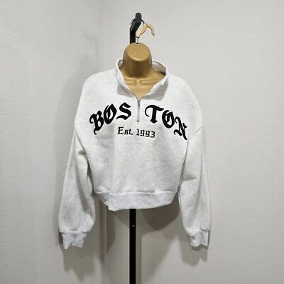 Sudadera polar Boston de gran tamaño para mujer pequeña gris bordada cuarto cremallera y2k Foto 1 de 4