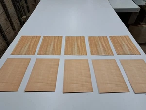 Wood Veneer Sample Pack - 10 PIECES 220mm x 150mm - for marquetry - Pack 252 - Picture 1 of 5