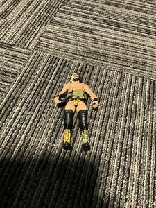 2017 WWE NXT TakeOver Series 1 Seth Rollins Target Exclusive FT5 - Picture 1 of 2