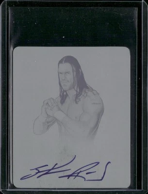 Placa de impresión cian 1/1 Leaf Originals #SR2 2014 Stevie Richards Foto 1 de 2