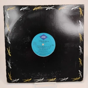 VTG Samantha Fox ~ I Wanna Have Some Fun 12" Vinyl Single 1988 Zomba #1155-1-JD - Imagen 1 de 7