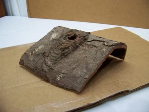 Reptile, Snake, Turtle, Insect or Frog ~  REAL Natural Bark Hide Out ~ Neato! - Picture 1 of 5