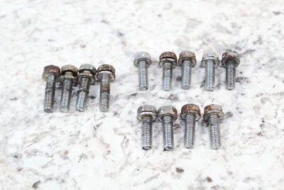 Yamaha Waverunner FX1000 FX Cruiser 2006 pernos de cárter de aceite herrajes 97513-06520-00 Foto 1 de 4