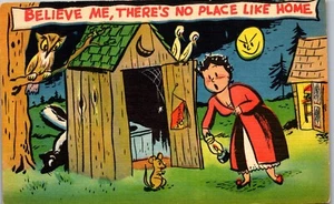 Vintage Humor Postcard There's No Place Like Home ~ Outhouse Moon Skunk Owl - Picture 1 of 3
