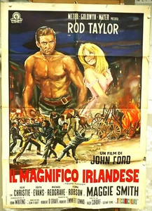 The Magnificent Irish Young Cassidy Manifesto Poster JOHN FORD IRISH - Picture 1 of 1